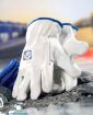 Slika Rukavice ARDON®INDY kožne s kartončićem